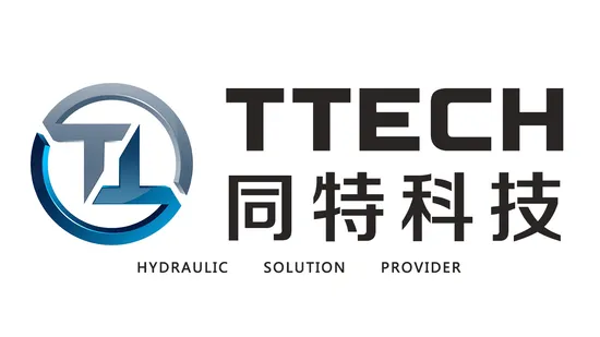 Tongte Double Acting Hydraulic Cylinder for Sale