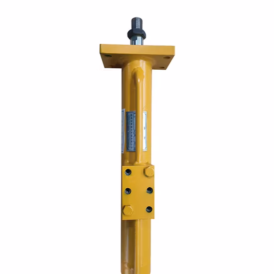Tongte Double Acting Hydraulic Cylinder for Sale